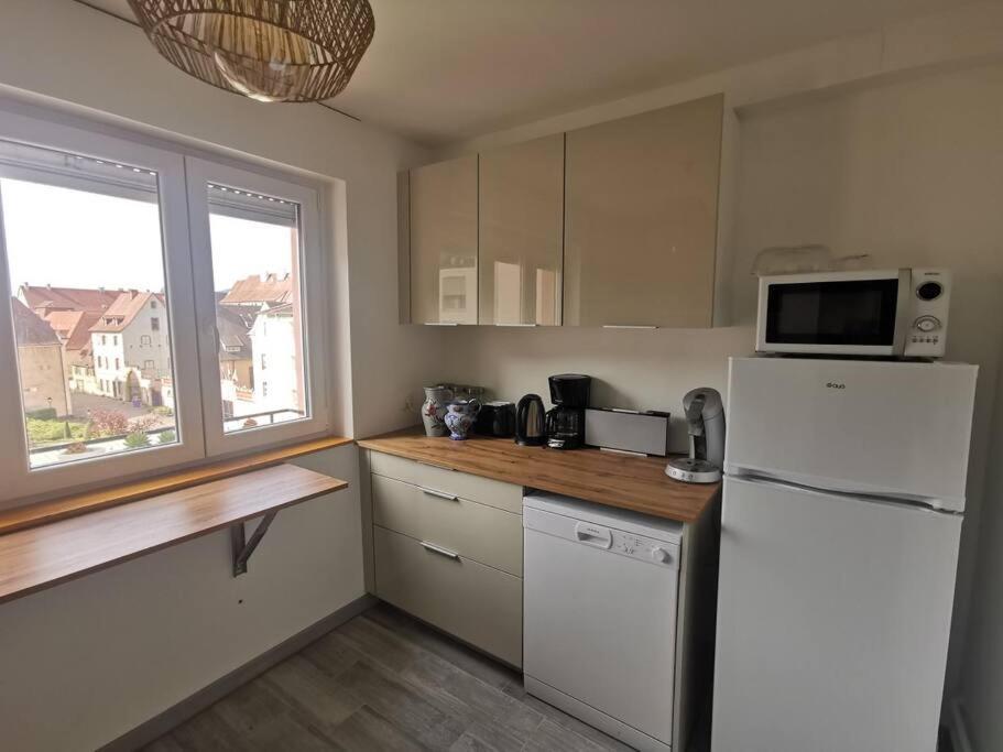 Logement Colmar Centre Avec Parking Exteriér fotografie